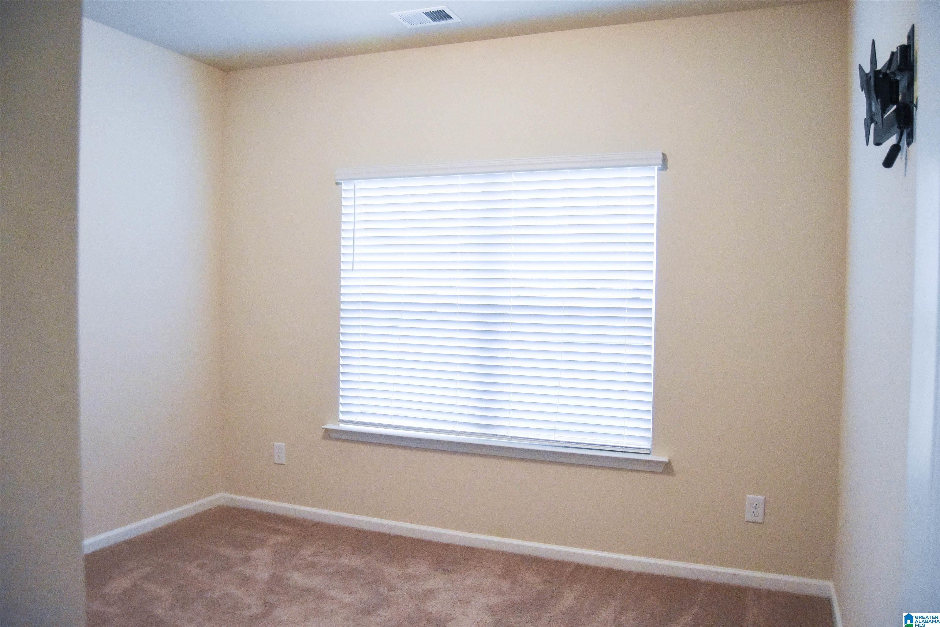 634 Twin Ridge Lincoln, AL 35096 - Photo 29 of 46