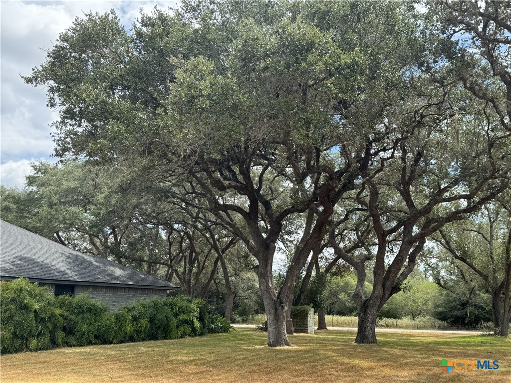 3542 Coletoville Road Victoria, TX 77905 - Photo 7 of 40 Gallery Image 7