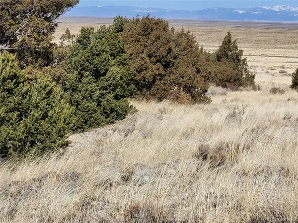 $25,000 | 511 Mill Run Road, Mosca, CO 81146