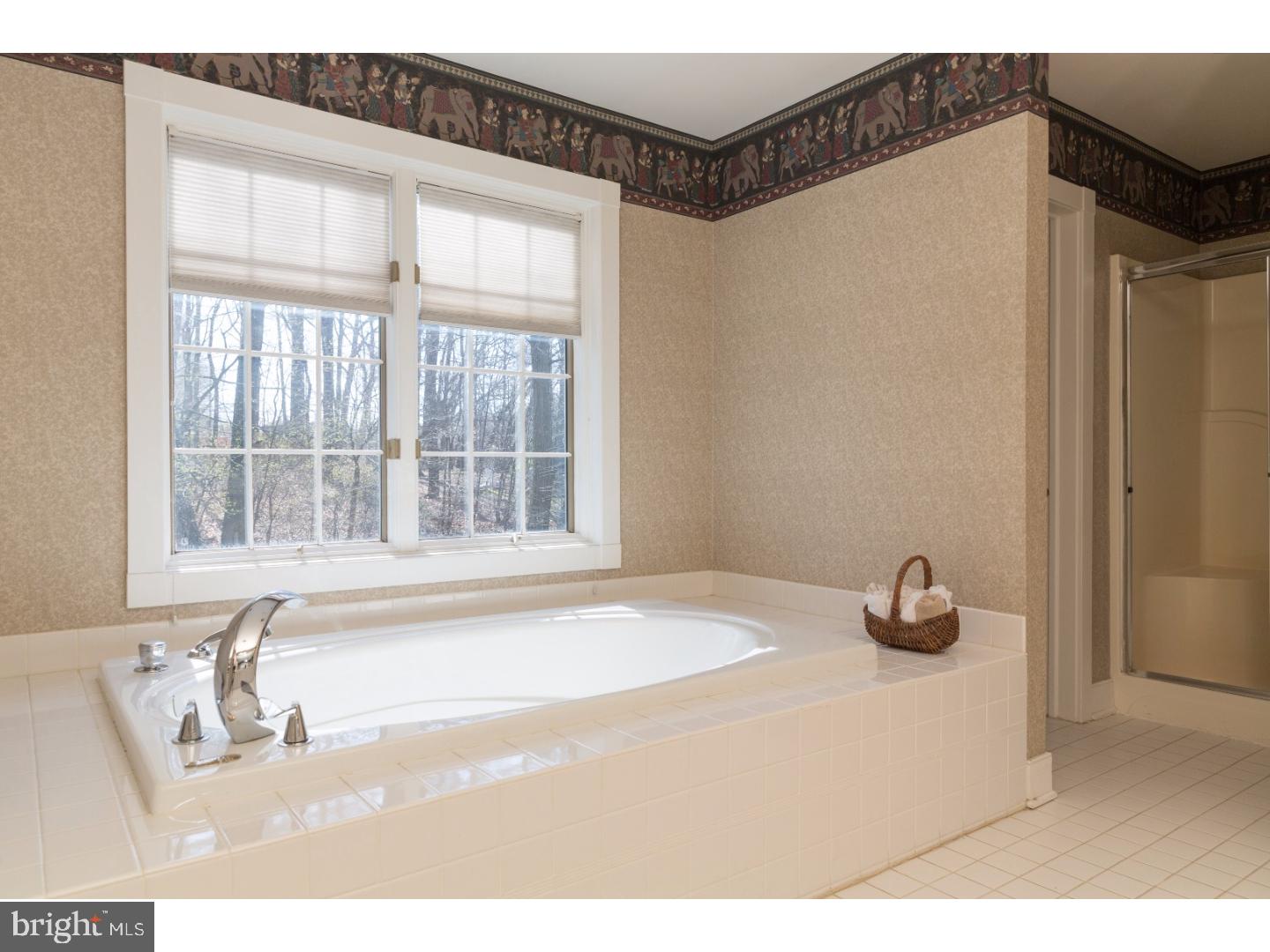 3805 Secondwoods Road Doylestown, PA 18902 - Photo 16 of 21 Master Bathroom