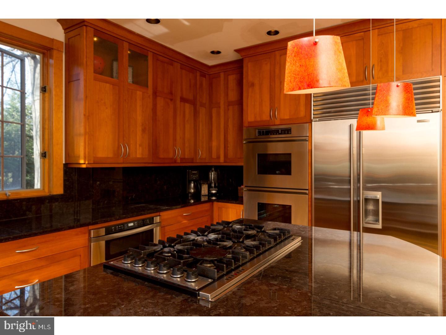 3805 Secondwoods Road Doylestown, PA 18902 - Photo 5 of 21 Kitchen