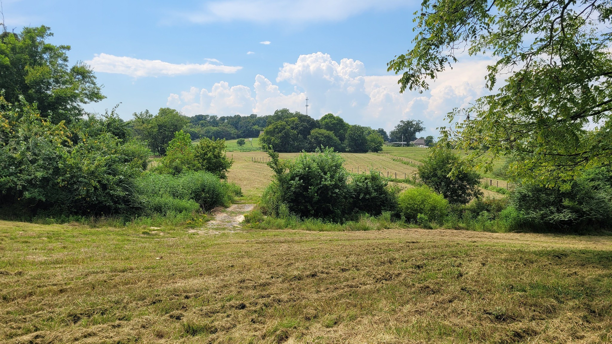 3 Knight Campground Road Shelbyville, TN 37160 - Photo 4 of 9