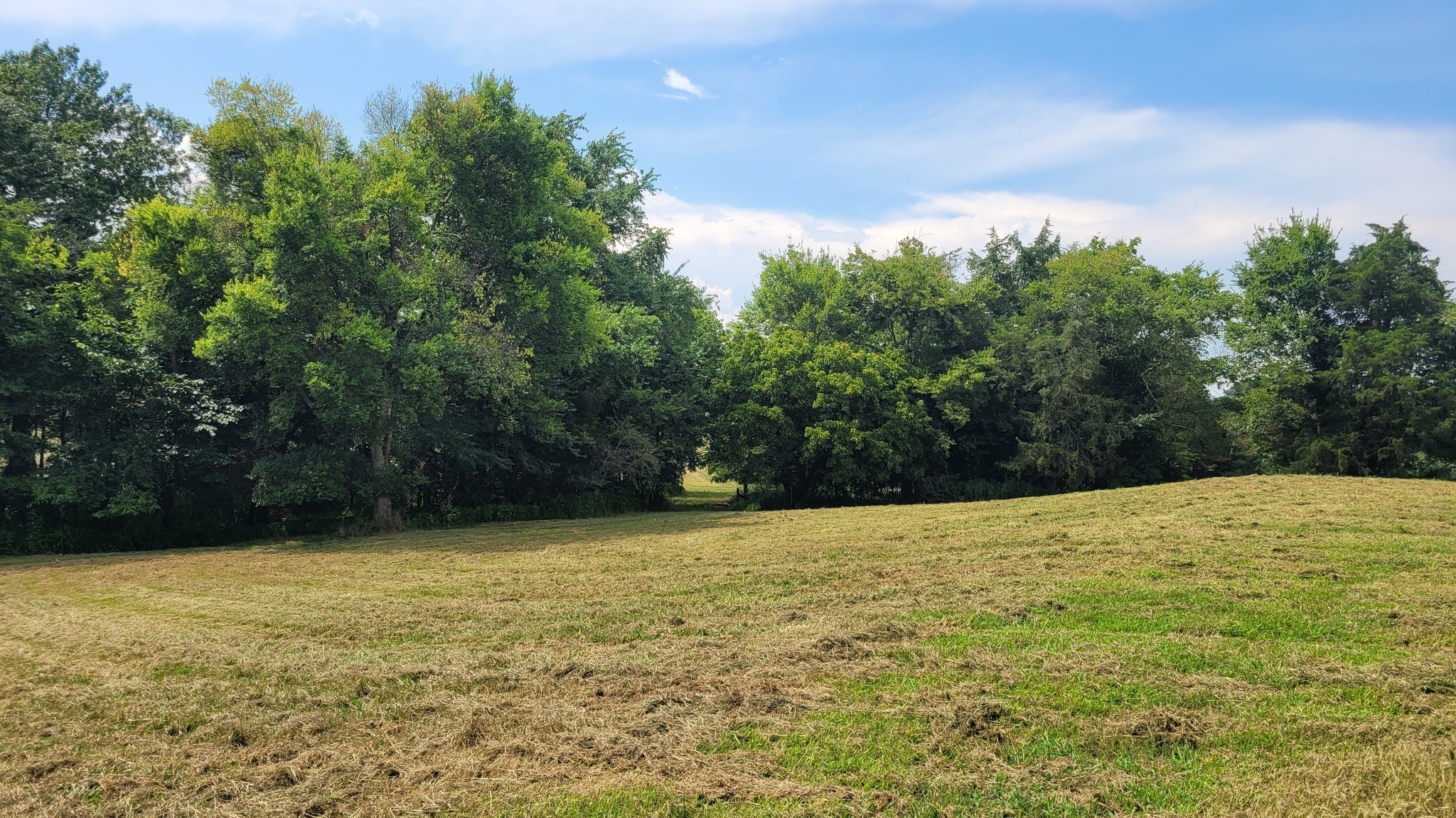 3 Knight Campground Road Shelbyville, TN 37160 - Photo 5 of 9