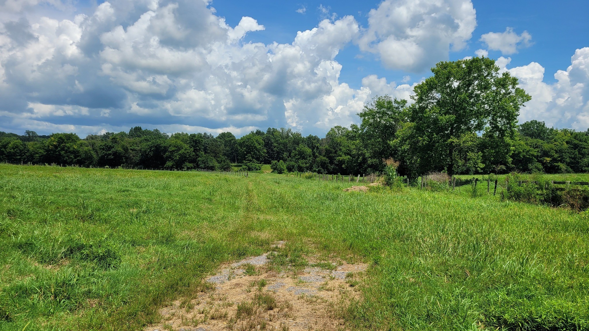 3 Knight Campground Road Shelbyville, TN 37160 - Photo 6 of 9