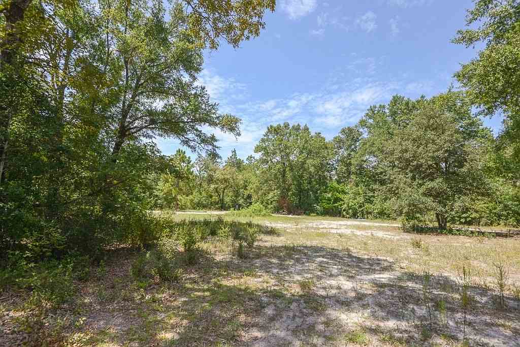 927 Hassell Road Tallahassee, FL 32305 - Photo 3 of 13