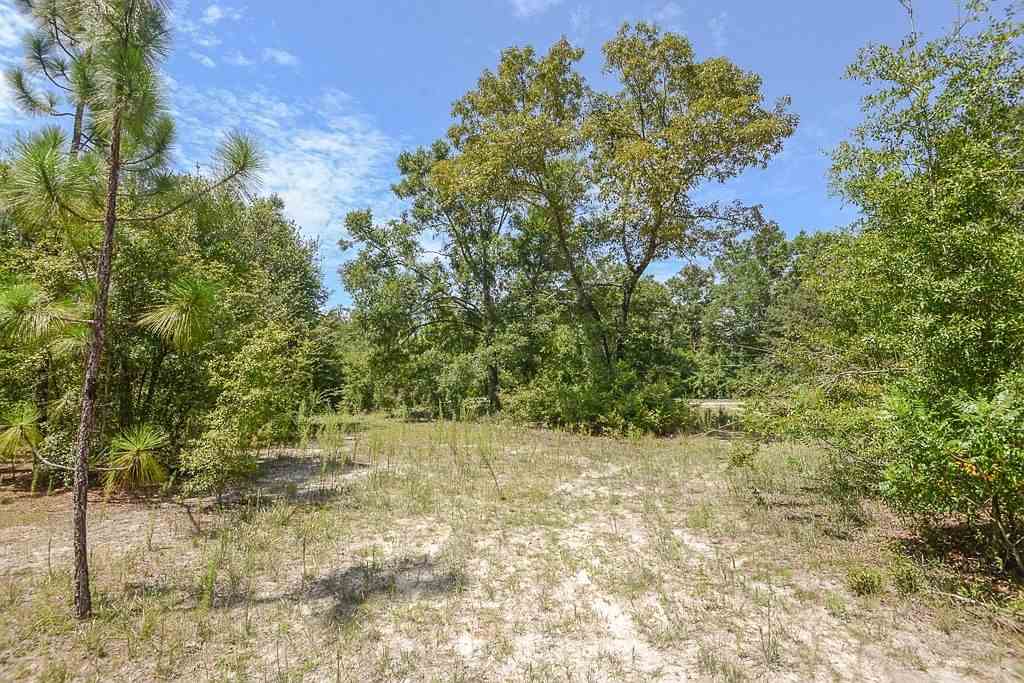 927 Hassell Road Tallahassee, FL 32305 - Photo 4 of 13