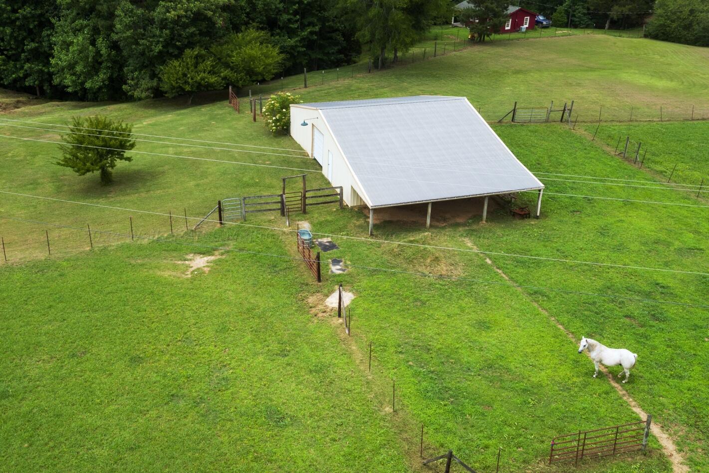 4203 County Road Crane Hill, AL 35053 - Photo 1 of 13 Gallery Image 1