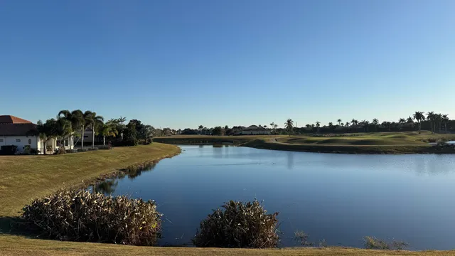 a view of a ocean with boats and trees in the background