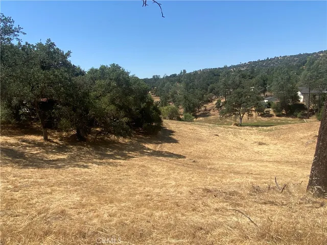 a view of a yard with a tree