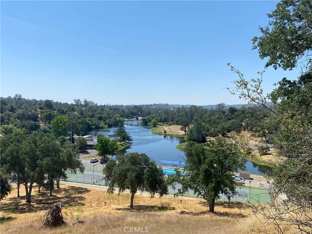 a view of a park with a large tree