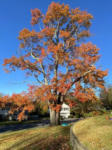 a view of a lake with houses