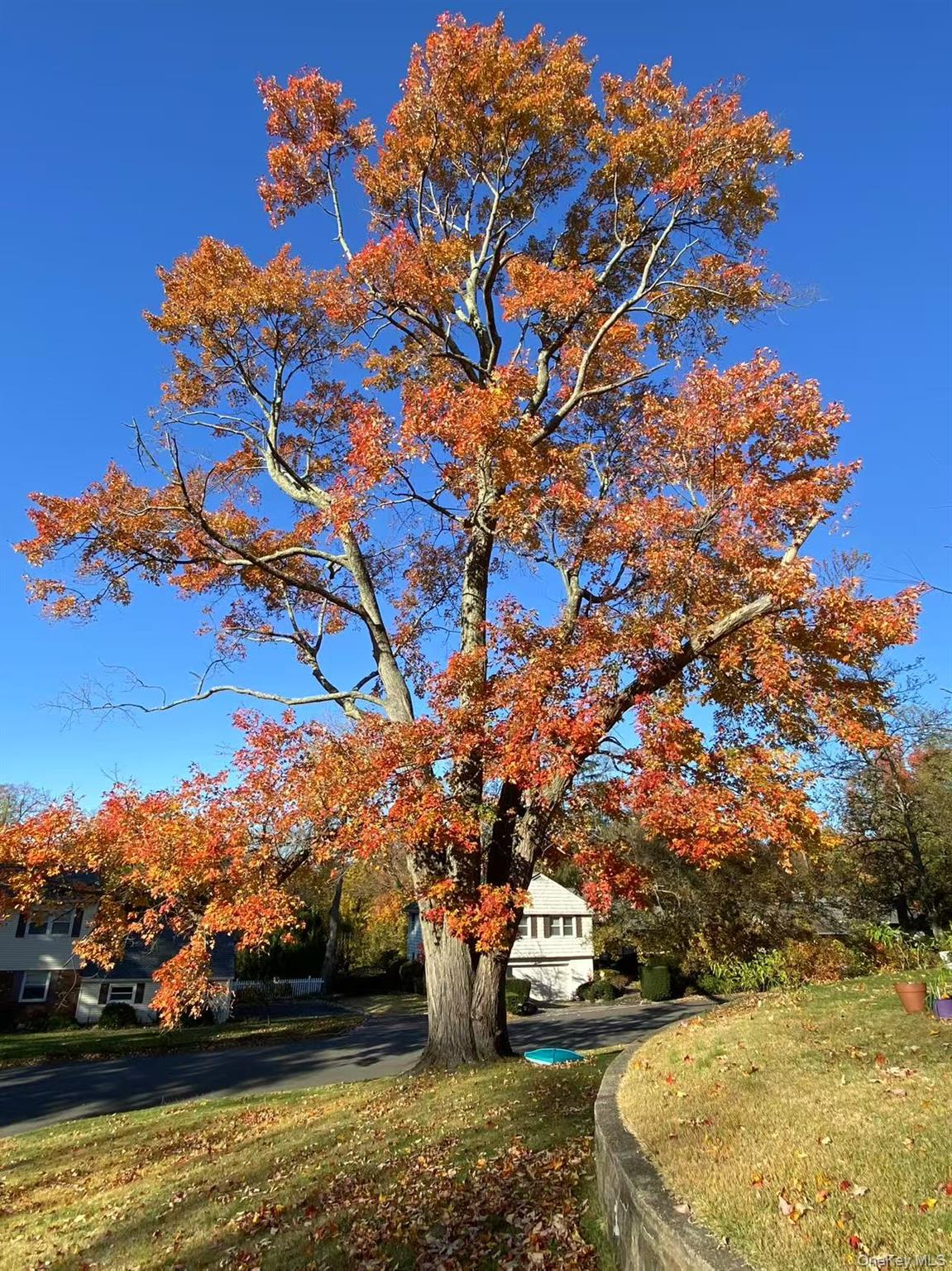 17 Pinewood Road Manhasset, NY 11030 - Photo 25 of 26 a view of a lake with houses