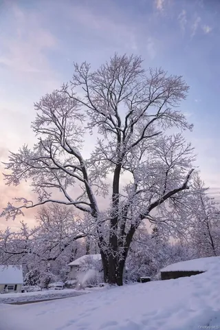 a backyard of a house