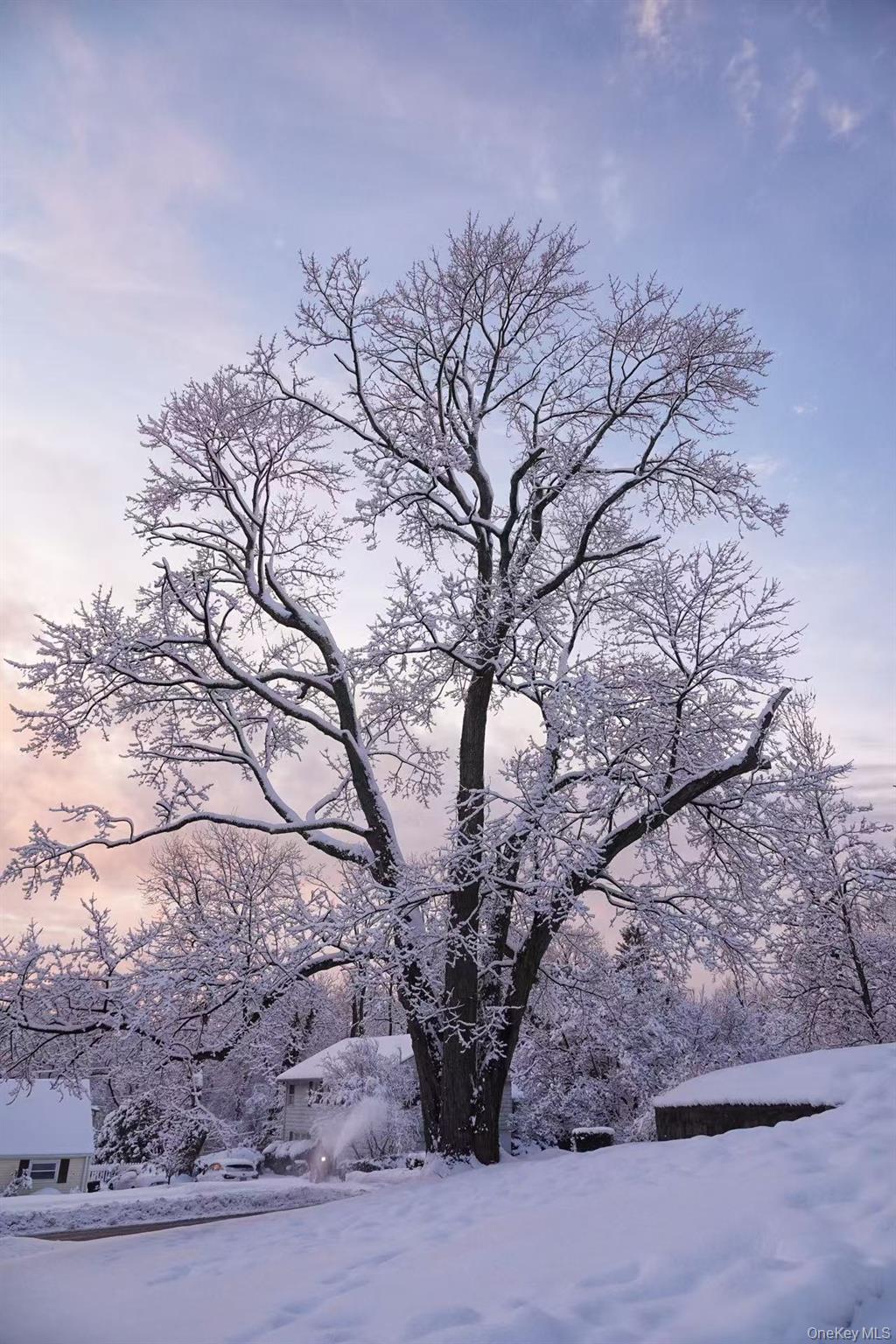 17 Pinewood Road Manhasset, NY 11030 - Photo 26 of 26 a backyard of a house