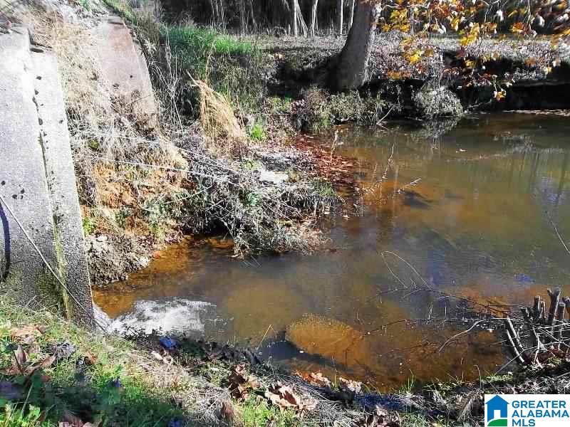 1850 Chapman Road Goodwater, AL 35072 - Photo 21 of 29