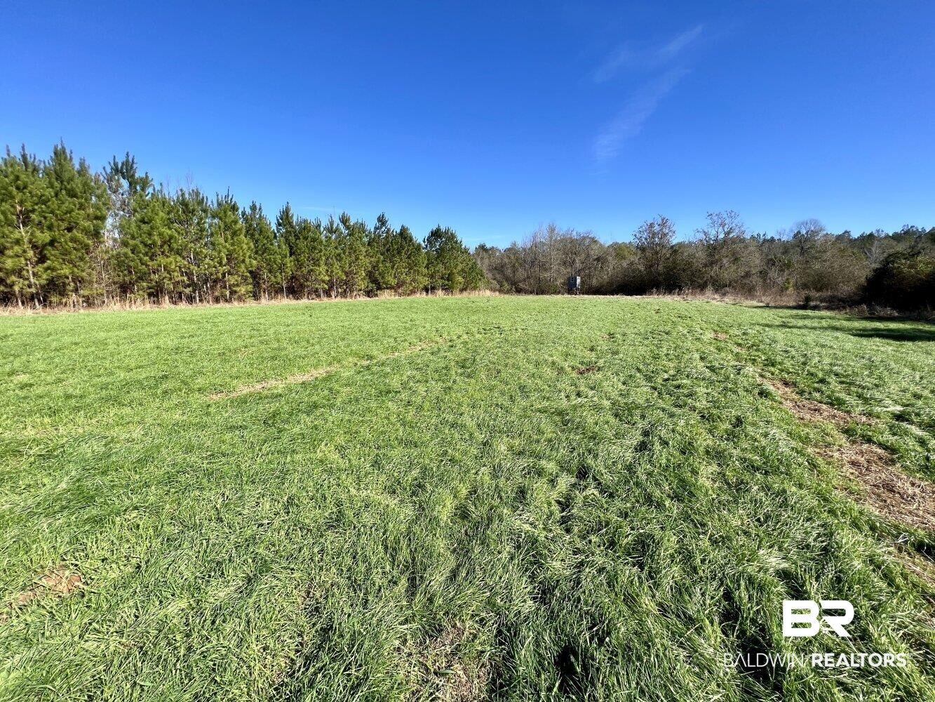 0 Highway 84 Evergreen, AL 36401 - Photo 45 of 50