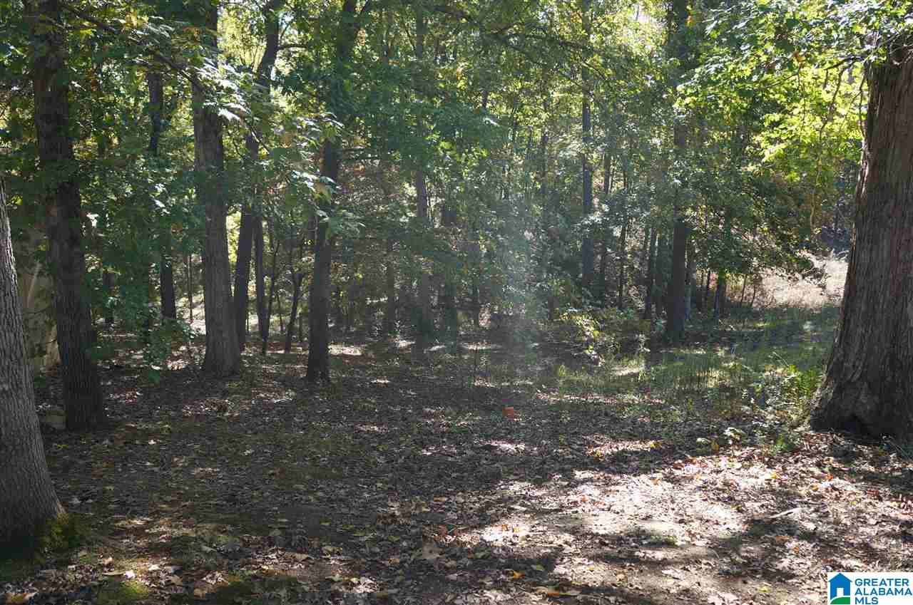 531 Center Point Road Sylacauga, AL 35151 - Photo 32 of 34