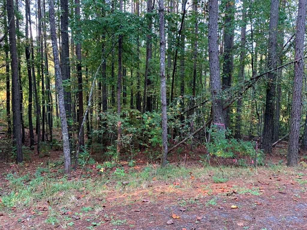 67 Liberty Lane Murphy, NC 28906 - Photo 3 of 12 a view of outdoor space and green space