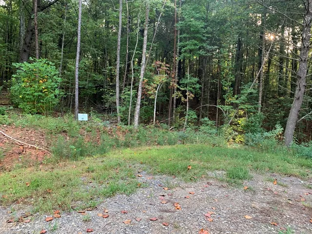 a view of outdoor space and green space