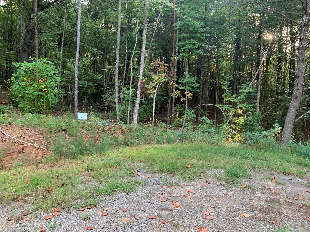 67 Liberty Lane Murphy, NC 28906 - Photo 4 of 12