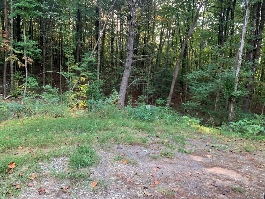 67 Liberty Lane Murphy, NC 28906 - Photo 5 of 12 a view of outdoor space and green space