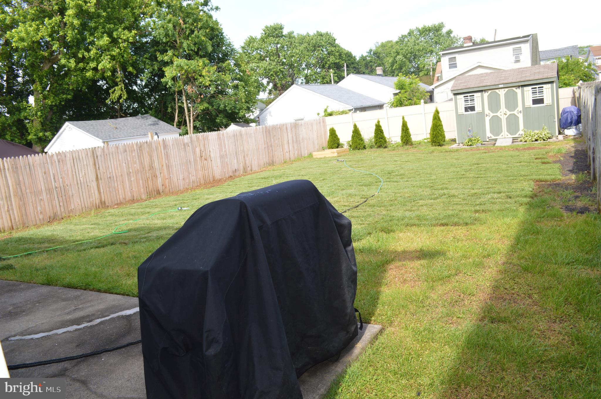 New sod in rear yard