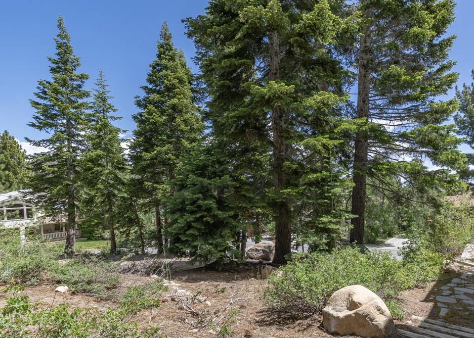 130 Monterey Pine Road Mammoth Lakes, CA 93546 - Photo 1 of 3 a backyard of a house with lots of trees
