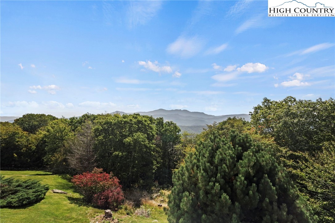 510 Elderberry Ridge Road, Unit F102 Beech Mountain, NC 28604 - Photo 24 of 44 Gallery Image 24