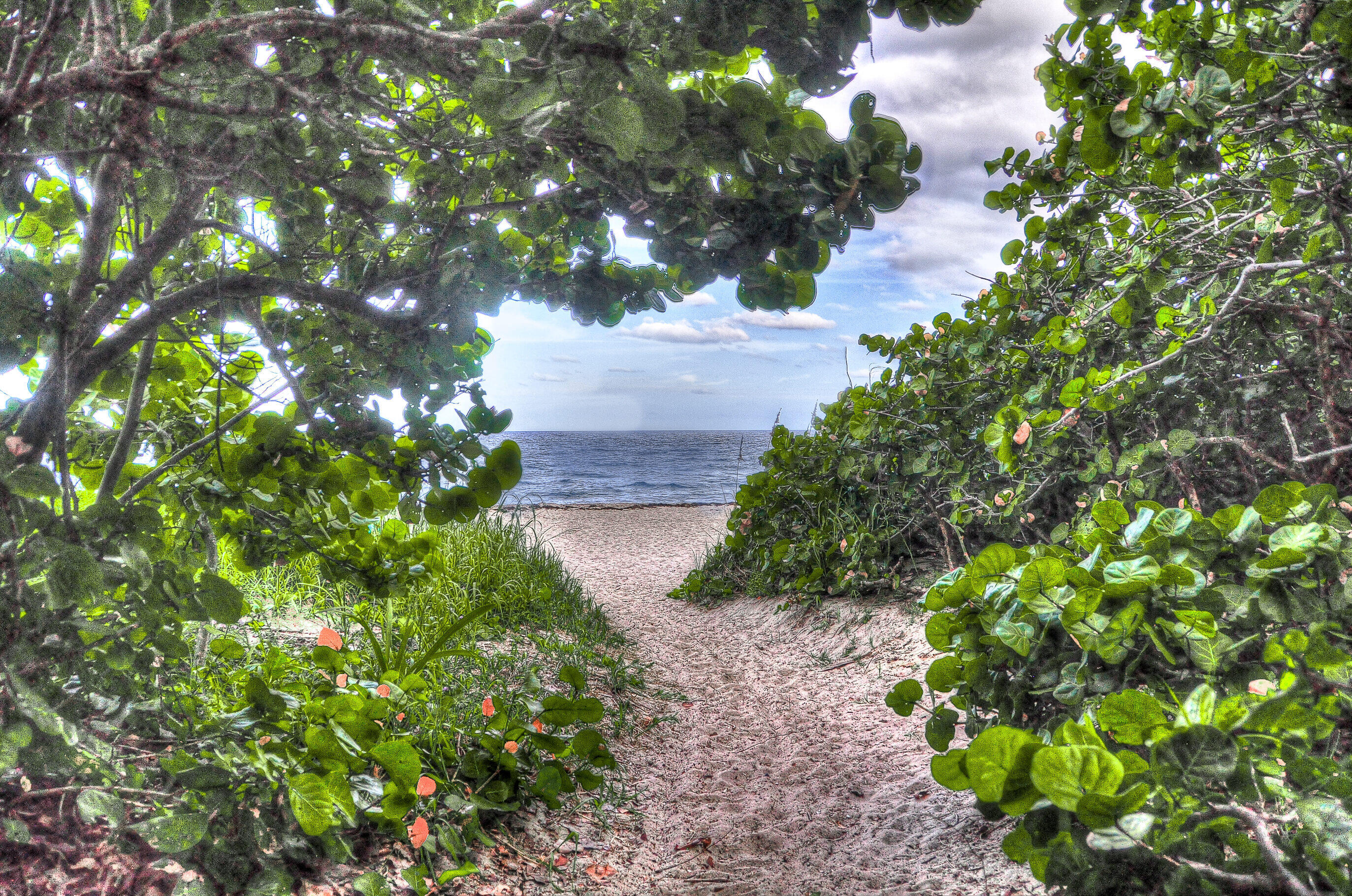 2860 South Ocean Boulevard, Unit 301 Palm Beach, FL 33480 - Photo 28 of 31 2860 S Ocean Blvd 415 Palm-print-048-022