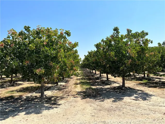 $9,431,350 | 10975 Avenue 16 Alpaugh Ca, Delano, CA 93215