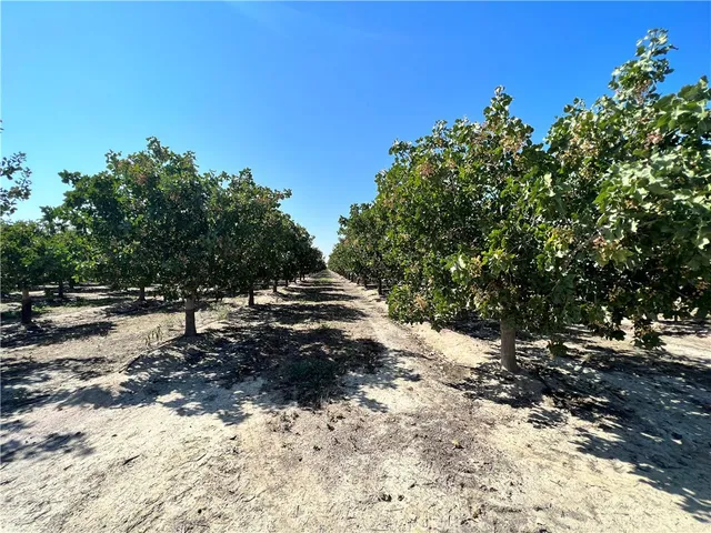 $9,431,350 | 10975 Avenue 16 Alpaugh Ca, Delano, CA 93215