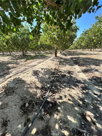 $9,431,350 | 10975 Avenue 16 Alpaugh Ca, Delano, CA 93215