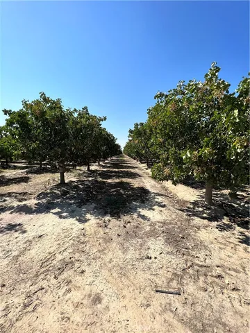 $9,431,350 | 10975 Avenue 16 Alpaugh Ca, Delano, CA 93215