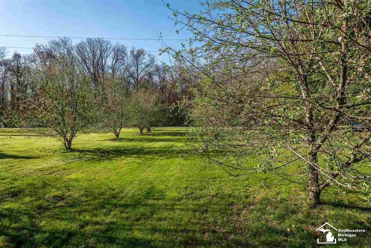 12111 Oelke Road Maybee, MI 48159 - Photo 24 of 48