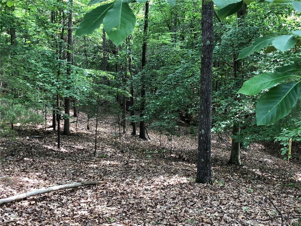 2682 Cassel's Road Chester, SC 29706 - Photo 3 of 6 a view of a forest filled with trees