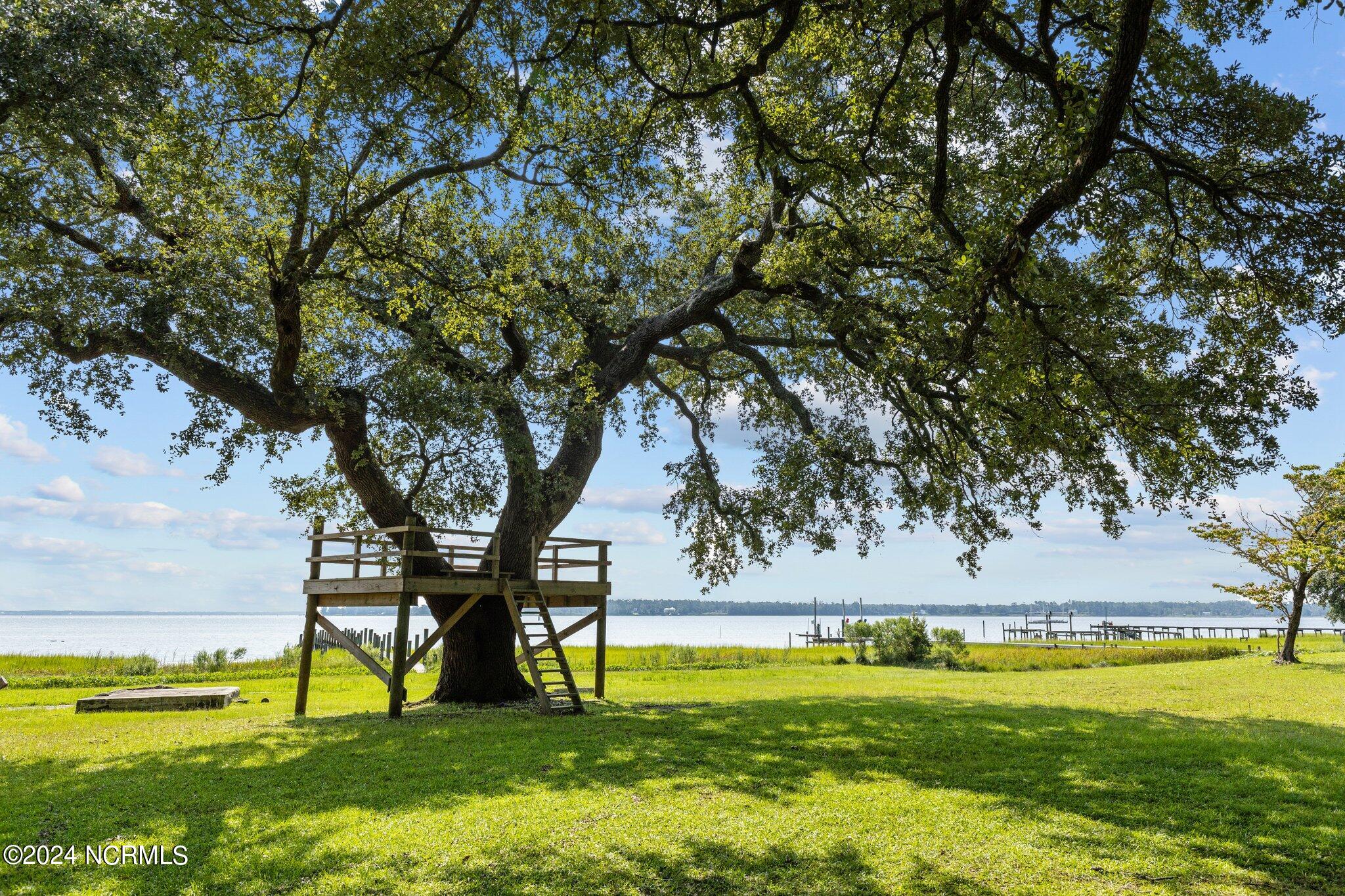 233 Point Road Newport, NC 28570 - Photo 38 of 53 41-web-or-mls-1S3A4908