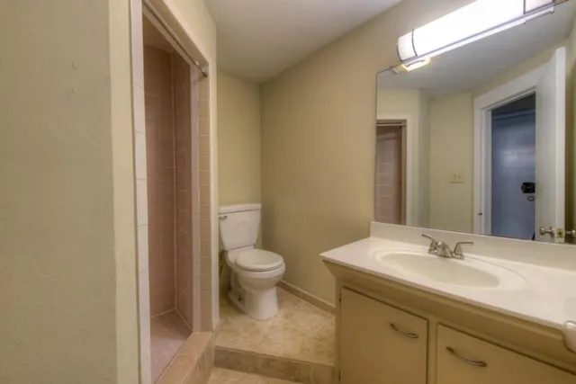 a bathroom with a sink and a toilet