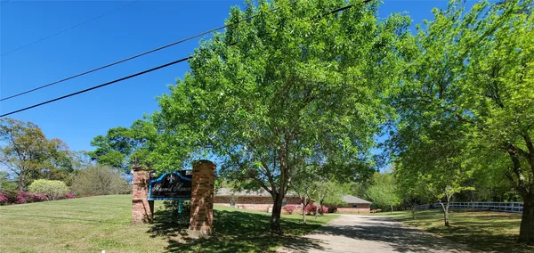 a view of yard with swimming pool and trees