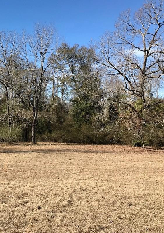 Lot 1 Holiness Church Road Wagener, SC 29164 - Photo 5 of 22
