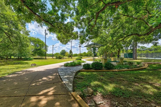 a view of a park with large trees