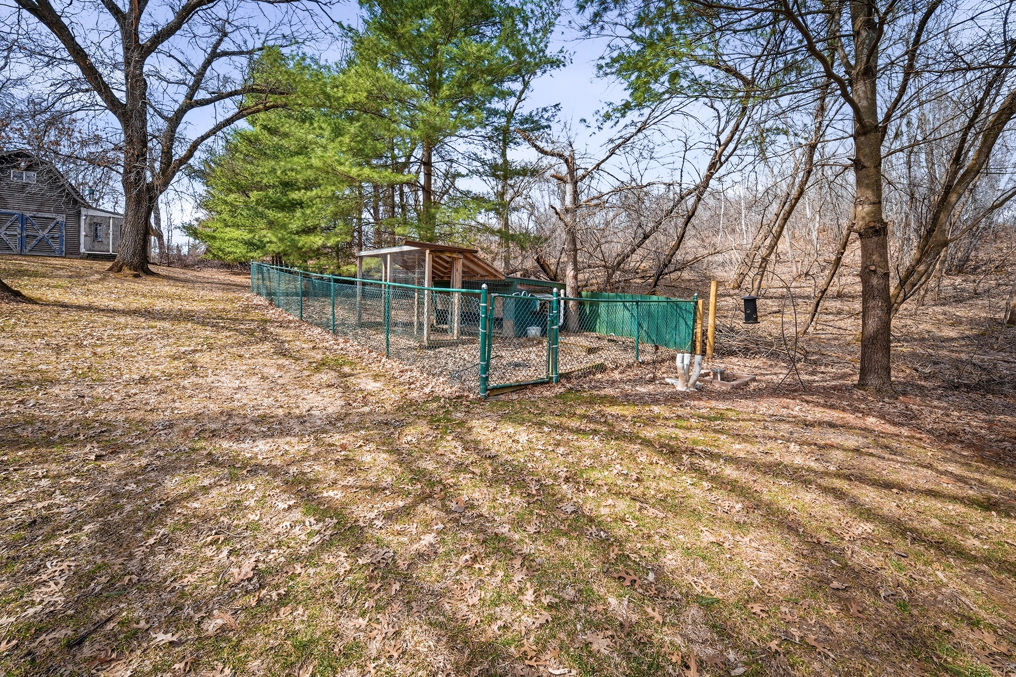 14822 Holmen Road Osseo, WI 54758 - Photo 4 of 60