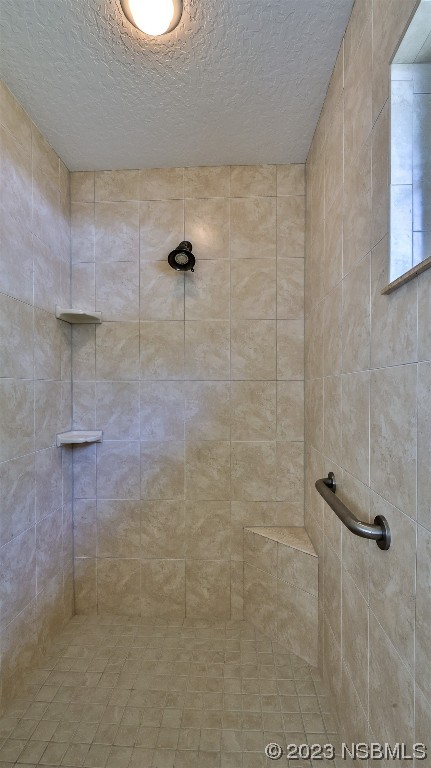 2655 Flowing Well Road DeLand, FL 32720 - Photo 12 of 23 a bathroom with a shower