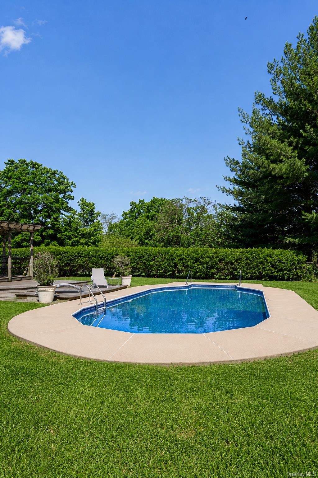210 Middle Road Hudson, NY 12534 - Photo 8 of 42 In-ground swimming pool featuring a concrete surround, metal entry ladders, and a surrounding lawn