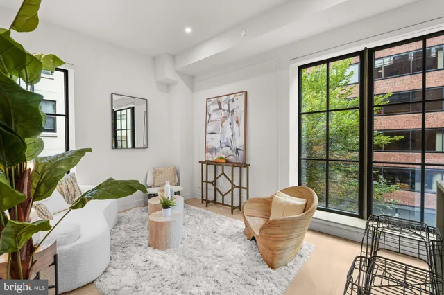 a living room with furniture and a potted plant