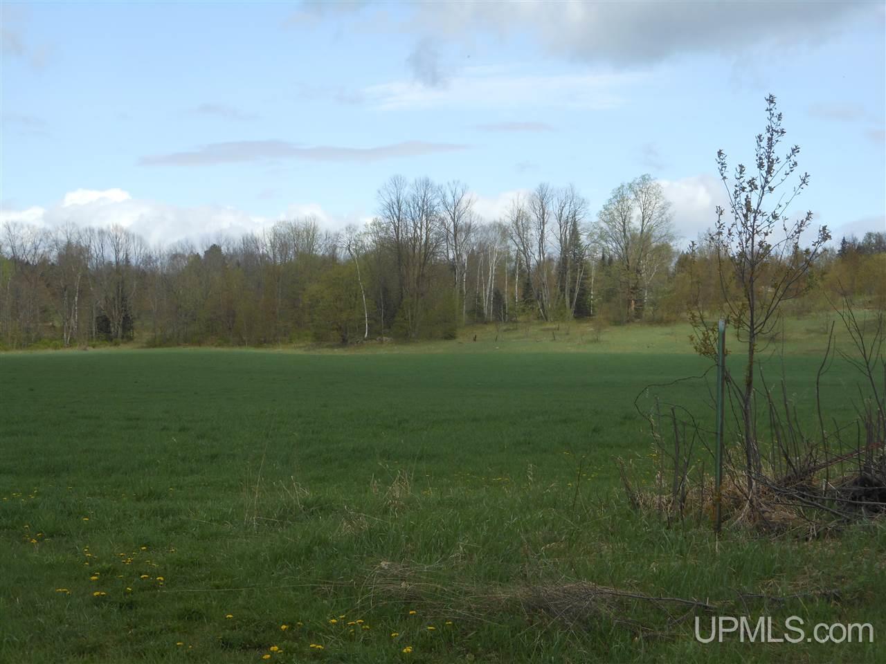 Tbd Co Rd N & Broullires Road Florence, WI 54121 - Photo 2 of 3