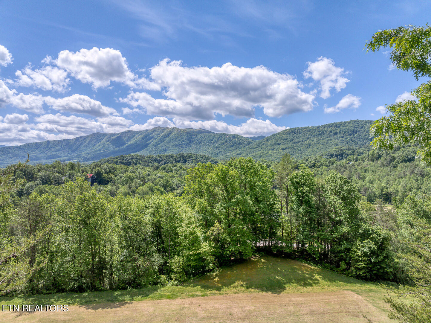 413 Settlers Rise Road Townsend, TN 37882 - Photo 2 of 31 DJI_0668