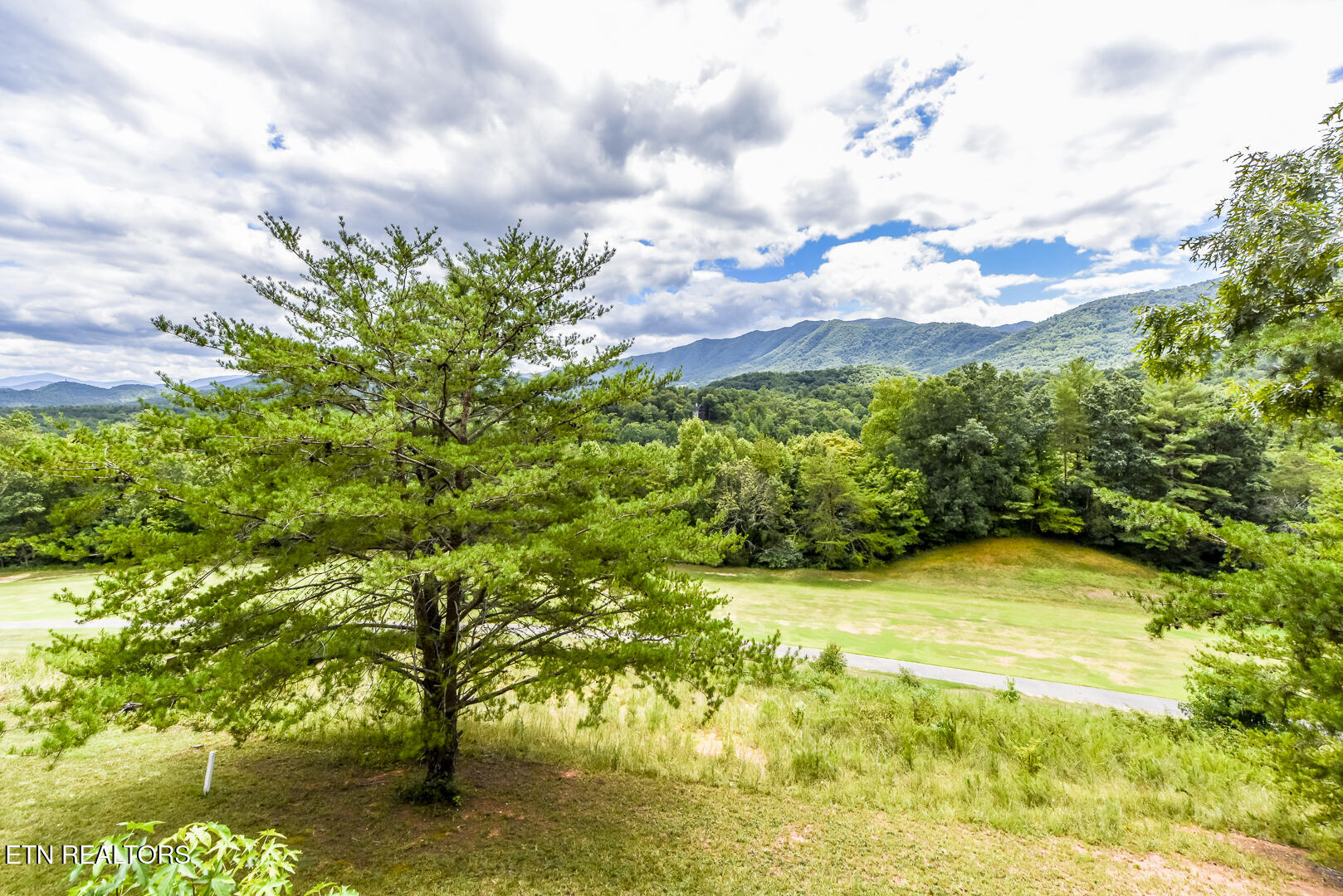 413 Settlers Rise Road Townsend, TN 37882 - Photo 26 of 31 DSC_7045