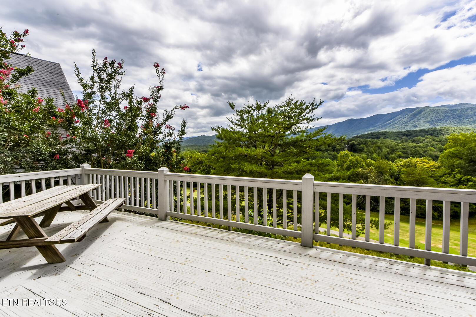 413 Settlers Rise Road Townsend, TN 37882 - Photo 9 of 31 DSC_7044