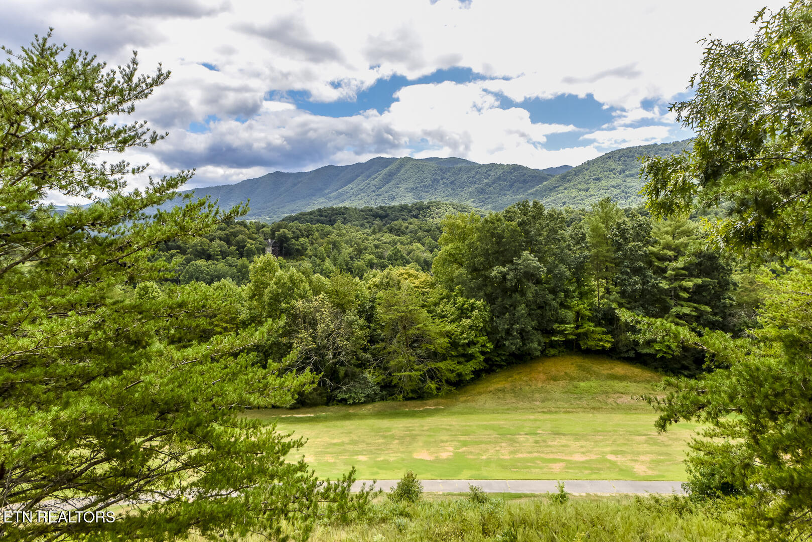 413 Settlers Rise Road Townsend, TN 37882 - Photo 10 of 31 DSC_7046