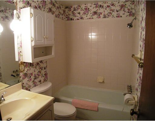 14670 Winchester Road Trafford, PA 15085 - Photo 12 of 18 Master Bath/Spa.